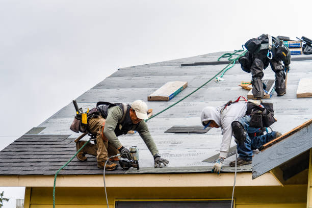 Professional Gutter Installation technician working in Dutton, VA